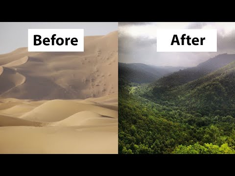 How China Turned the Desert into Green Forests