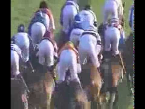 2014.02.06 Qatar Gold Trophy (H H Heir Apparent Trophy) - Dubday