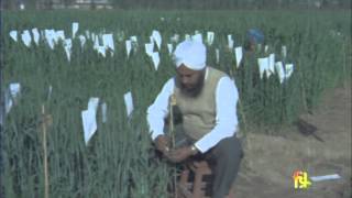 Behind The Breadline (1974)