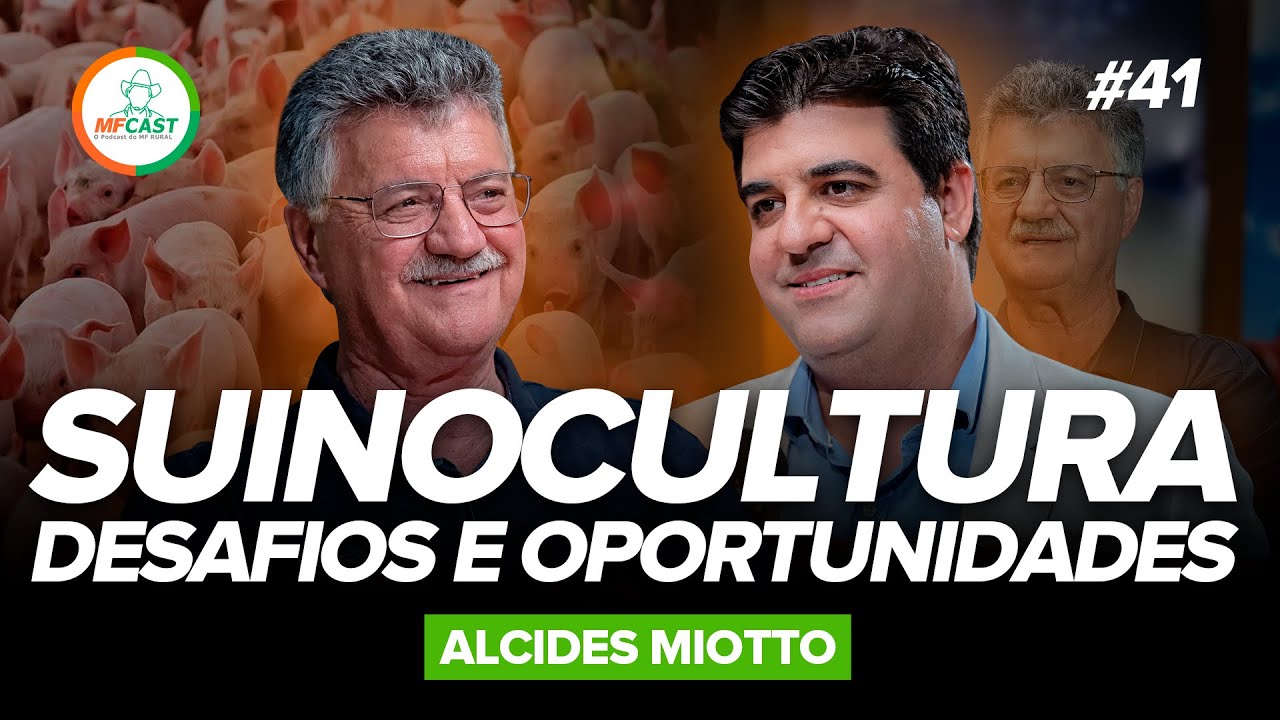 SUINOCULTURA: GENÉTICA COMO PILAR NA QUALIDADE DA CARNE (Alcides Miotto) - MF Cast 41