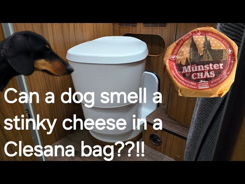 Can our dog smell an old cheese in a Clesana C1 bag? Gammel ost i posen - alte Käse ins Sack