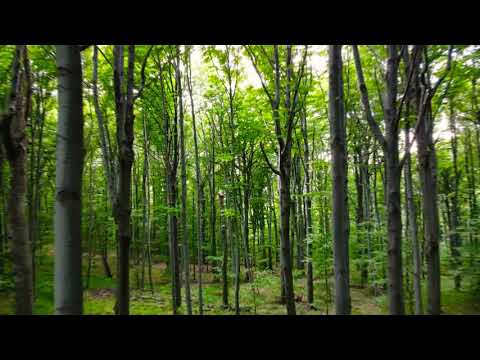 Vârful Domogled (Herculane)