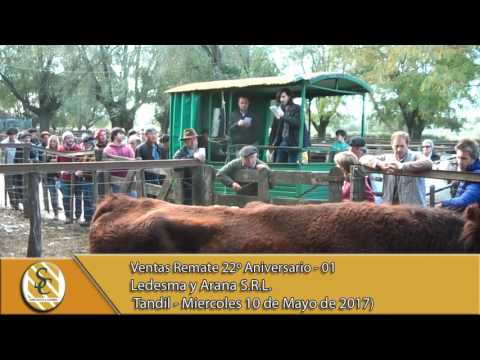 10-05-17 Ventas 22º Remate Aniversario 01 - Ledesma y Arana S.R.L. - Tandil