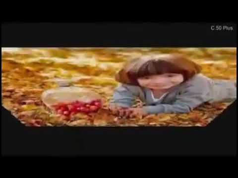 Tatiana Stepa Si totusi vine toamna