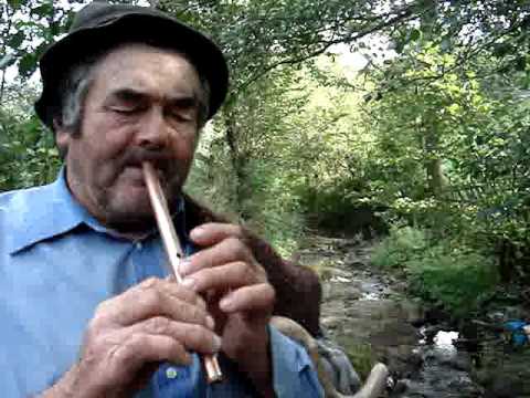 Fluieras din satul Porcurea jud HD