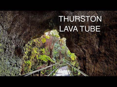 Thurston lava tube “Nahuku” full hike (#260) Hawai’i