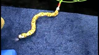 Robot Snake Demo   AUVSI 2012