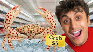 Raising A Grocery Store Crab As A Pet!