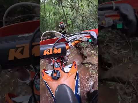 Hard Corbélia PR