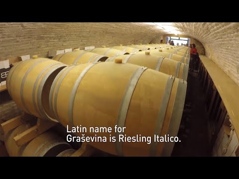 Ilok, Baranja & Fruška Gora Wine Regions on the Danube Wine Route of Croatia & Serbia
