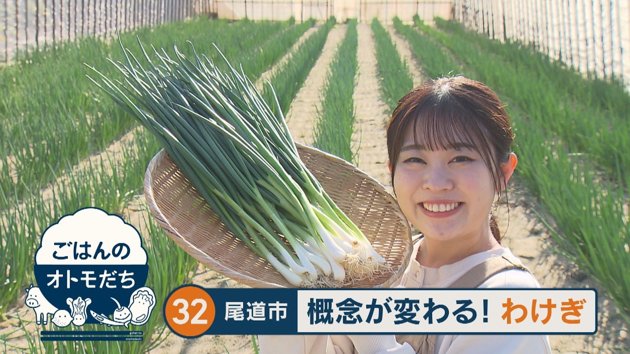 【ごはんのオトモだち】㉜わけぎ丼（尾道市岩子島）｜ピタニュー