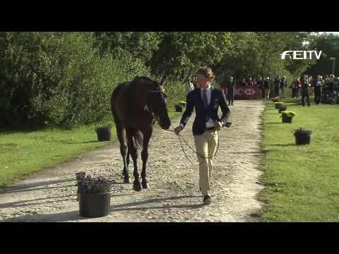 HSBC FEI European Eventing Championships 2013 - Malmö - Final Horse Inspection