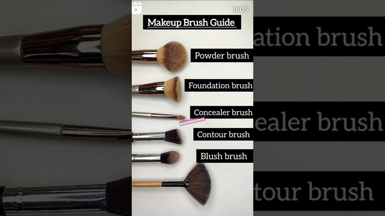 Types of brushes /knowledge of brushes #makeup #naturencebeautyworld #brush