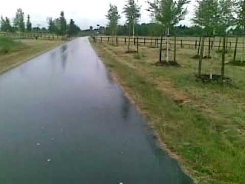 Troglösung Autobahn A 113 23072010001