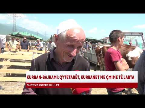 KURBAN-BAJRAMI:QYTETARËT, KURBANET ME ÇMIME TË LARTA