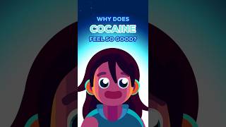 Why Does Cocaine Feel So Good?