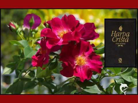 HARPA CRISTÃ 418 SOU UM SOLDADO