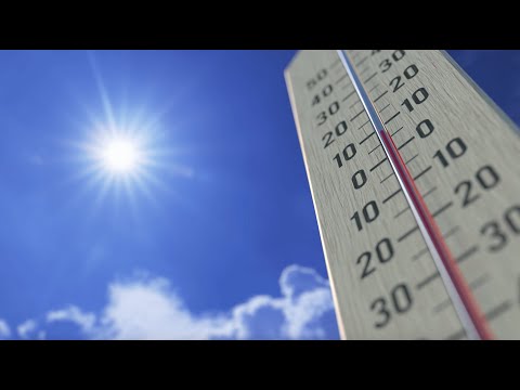 Summer Lawn Maintenance Tips