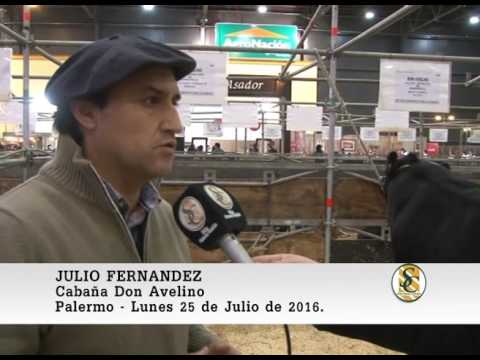 25-07-16 Nota Julio Fernandez - (Cabaña Don Avelino ) -  Palermo 2016.