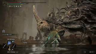 【ELDEN RING】忘れた頃のDLC#4