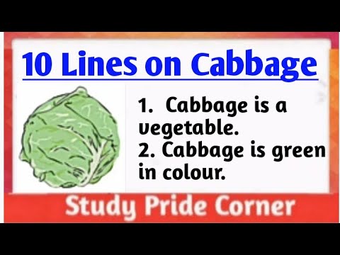 , title : '10 Lines on Cabbage in English | Few Lines on Cabbage Vegetable| StudyPrideCorner'