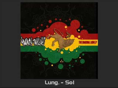 Lung. - Sol