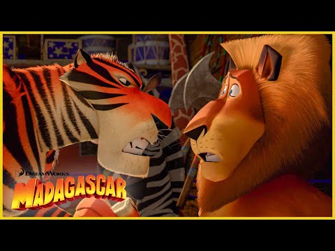 La pandilla se une al circo | Más avances | DreamWorks Madagascar en Español Latino