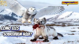 Predadores Do ÁRTICO:A Elite Biológica Que Desafia a Ciência