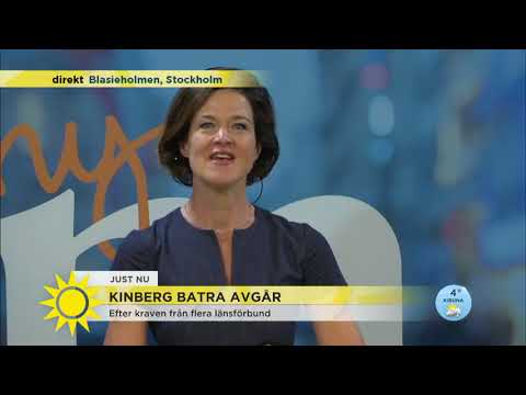 Anna Kinberg Batra: "Att jag avgår betyder inte att Moderaternas problem är lösta" - Nyhet