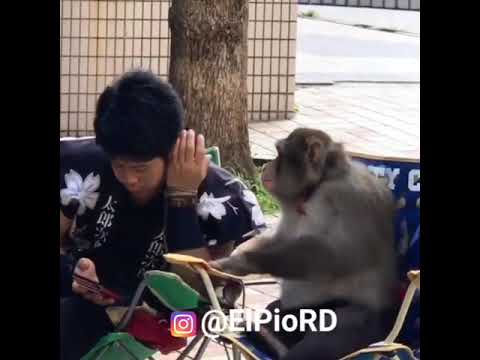 Una funda en la cabeza a