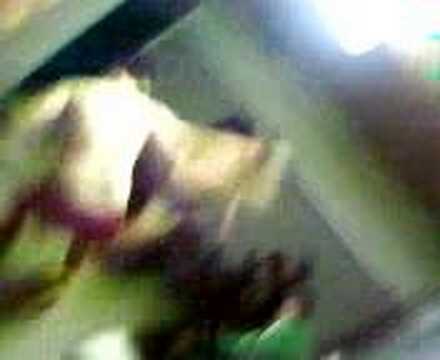 vallende ali (advendo)