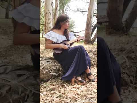 Minshul jain Dil DIyan Gallan Ek Tha Tiger Ukulele Cover - Minshul Jain | Singstagramm