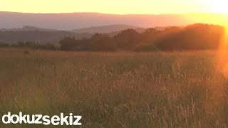 Ezginin Günlüğü - Çalsın Sazlar (Lyric Video)