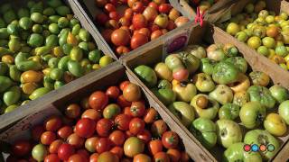 Farmers Market Watch - November 5th, 2009