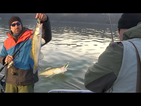 Pecanje smuđa na Dunavu kod Beograda - Varaličarenje | Fishing zander