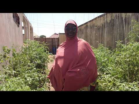 HELP TRAIN 100 RURAL WOMEN TO ADDRESS HUNGER
