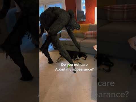 Doggo is not amused #spiritwalker  #halloweencostume #ghoul #doggo #dogsittindownthere