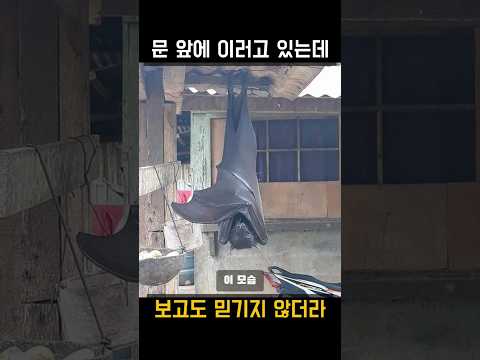 아이콘