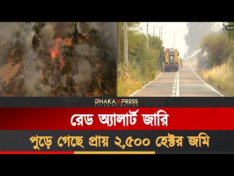 চিলিতে ভয়াবহ দাবানল, ঝুঁকি মোকাবিলায় বড় অভিযান
