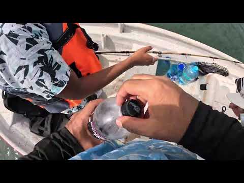 Descubriendo los Esteros de Mutis: Paraíso Oculto de Montijo 🏝️