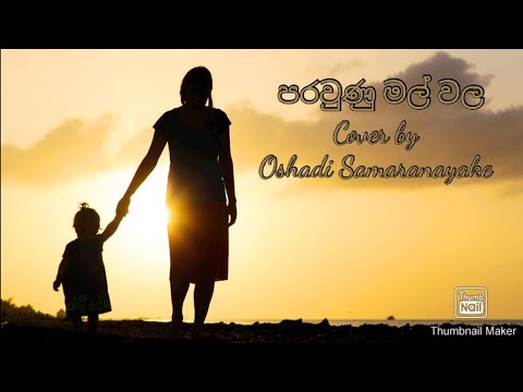 Parawunu mal wala | Sujatha Aththanayake | [පරවුණු මල් වල] ~ Oshadi Amandika Samaranayake ~