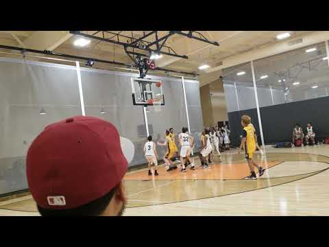 Dana Barros basketball