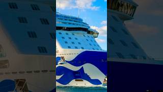 Majestic Princess 🛳️ #travel #yt #subscribe #comment #youtubeshorts #shortvideo #short #shorts #fun