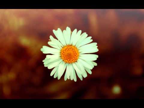 Paweł Wasiak - Nad nami