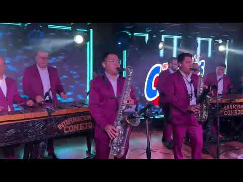 INTERNACIONALES CONEJOS EN VIVO | Feria Patronal San Antonio Aguas Calientes 2026.