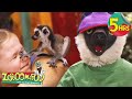 5 Hours Of Zoboomafoo Children And Animals Movies For Kids