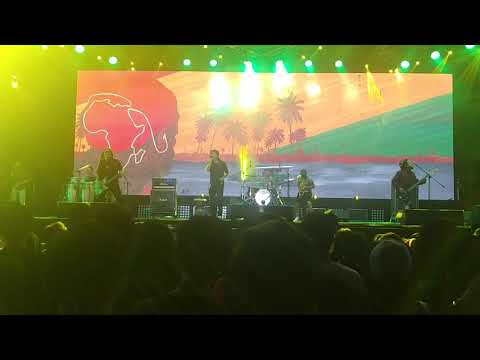 Steven & The Coconut - Long Time No See | Synchronize Fest 2019