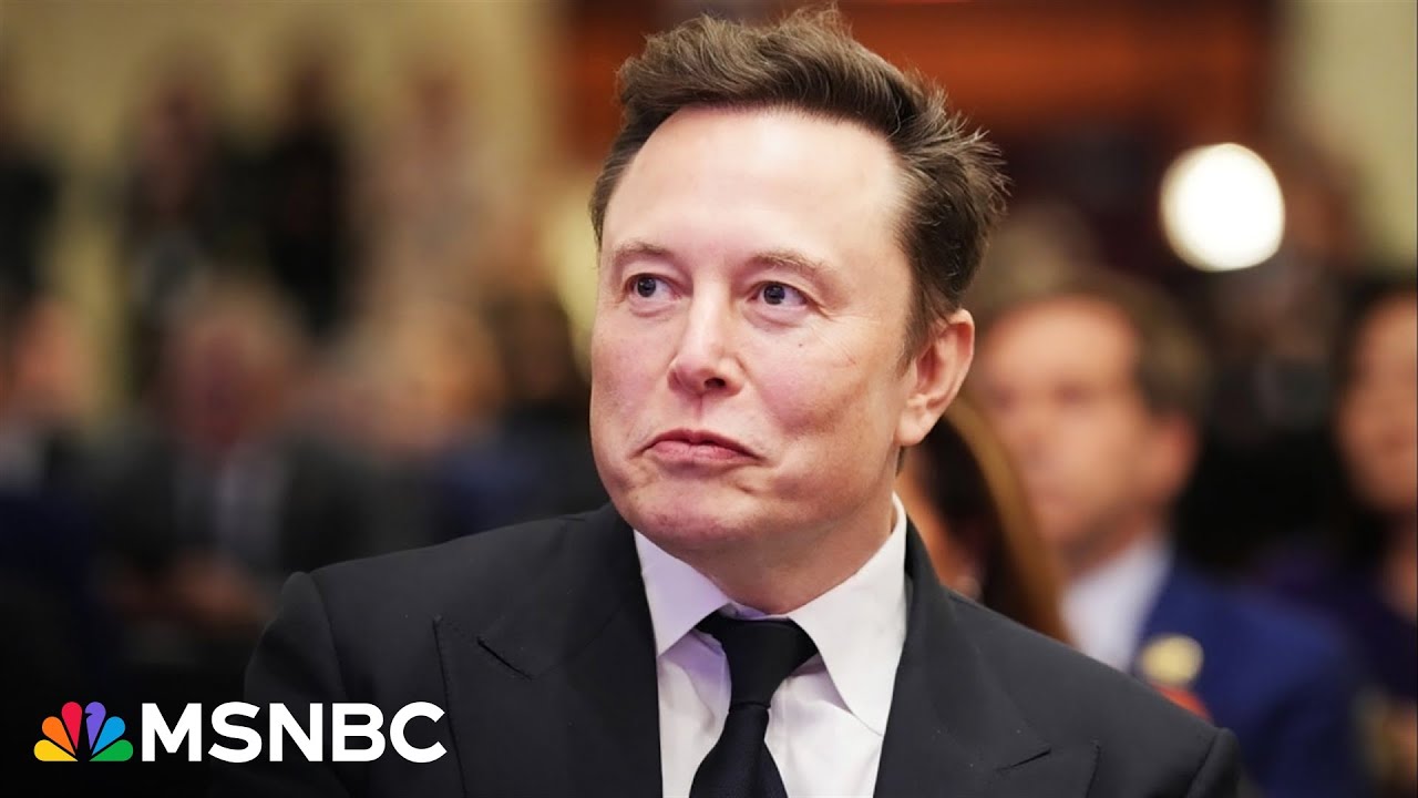 Musk’s ‘wrecking ball’ approach to federal budget is ‘an effort to tear down’ government: Rep. Ivey