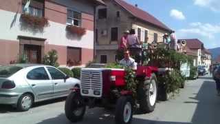 preview picture of video 'braslovče 2014 hmeljarski praznik  the feast of hops'