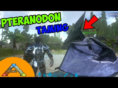 Ark Survival Evolved - Easy Way To Tame A Pteranodon (Beginner's Guide)